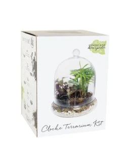 Cloche Terrarium Kit Medium -Gardene Supply Sales 8599148 01v