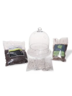 Cloche Terrarium Kit Medium