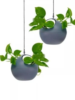 Exaco Euro Hanging Planters, Set Of 2 3 Exaco Euro Hanging Planters, Set Of 2 -Gardene Supply Sales 8599179 04V tif