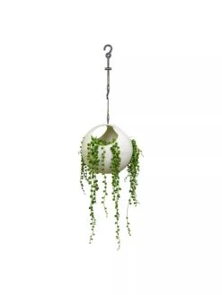 Exaco Euro Hanging Planters, Set Of 2 2 Exaco Euro Hanging Planters, Set Of 2 -Gardene Supply Sales 8599179 06V tif