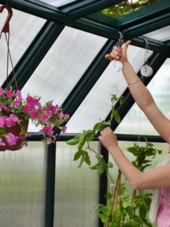 Canopia® By Palram Hobby Gardener Greenhouse, 8' -Gardene Supply Sales 8599331 04V tif