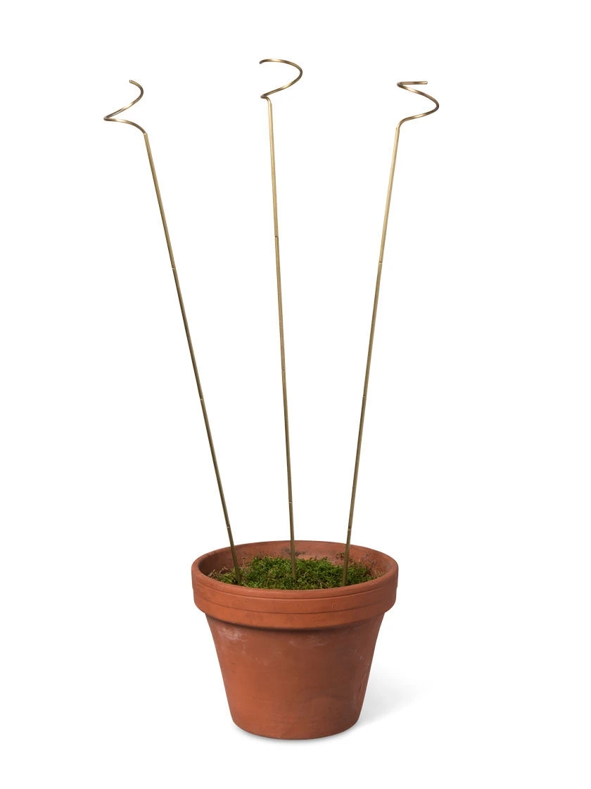 Adjustable Amaryllis Stakes, Set of 3 Adjustable Amaryllis Stakes, Set Of 3 -Gardene Supply Sales 8599394 15663