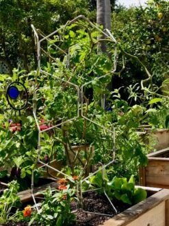 Gardener's Vertex Lifetime Pepper And Eggplant Cage -Gardene Supply Sales 8599554 01CUST tif