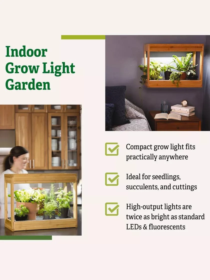 Bamboo Mini LED Grow Light Garden Bamboo Mini LED Grow Light Garden -Gardene Supply Sales 8599624 04