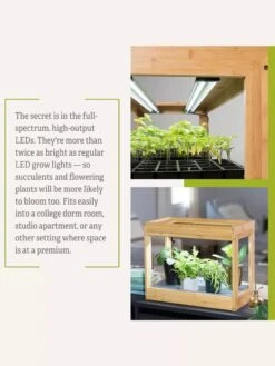 Bamboo Mini LED Grow Light Garden 8 Bamboo Mini LED Grow Light Garden -Gardene Supply Sales 8599624 06