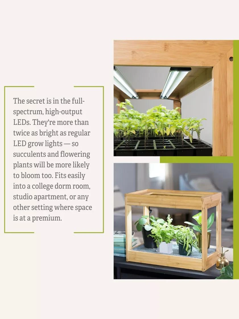 Bamboo Mini LED Grow Light Garden Bamboo Mini LED Grow Light Garden -Gardene Supply Sales 8599624 06