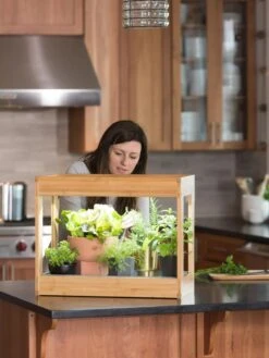 Bamboo Mini LED Grow Light Garden 3 Bamboo Mini LED Grow Light Garden -Gardene Supply Sales 8599624 12532 tif