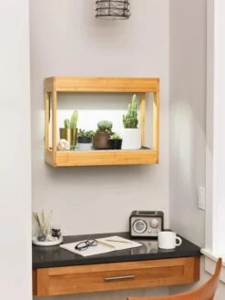 Bamboo Mini LED Grow Light Garden 2 Bamboo Mini LED Grow Light Garden -Gardene Supply Sales 8599624 12872 tif