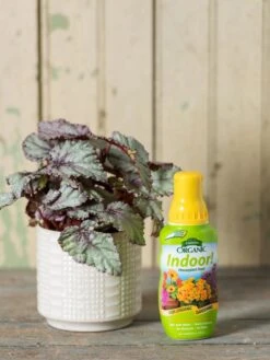 Featured Products 19 Espoma Indoor! Plant Food