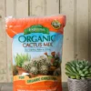 Espoma Cactus Potting Mix, 4 Quart
