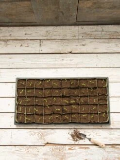 Paper Pots, 50 Cell -Gardene Supply Sales 8599830 18489 tif