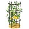 Titan Pepper Eggplant Cages, Set Of 3