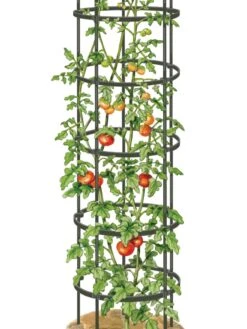 Titan Tall Tomato Cages, Set Of 3 -Gardene Supply Sales 8599860 0002 art tif