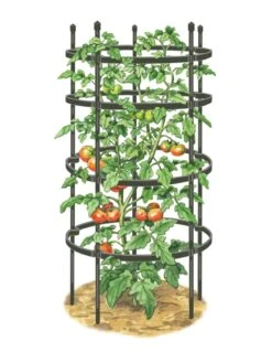 Titan Tomato Cages, Set Of 3 -Gardene Supply Sales 8599861 0001 art tif