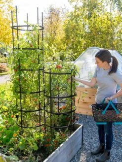 Titan Tomato Cages, Set Of 3 -Gardene Supply Sales 8599861 0114 tif