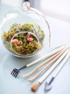 Terrarium Tools, Set Of 4 -Gardene Supply Sales 8599884 01V tif