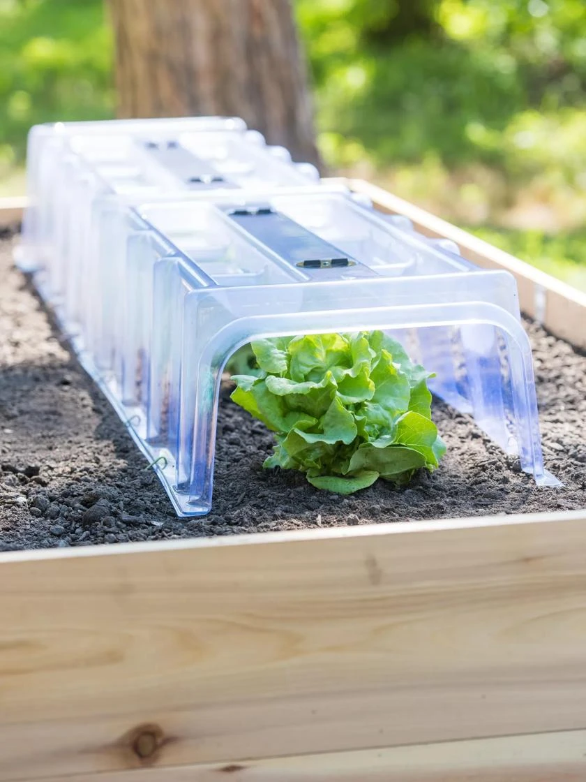 Cool Weather Row Cloche Centers, Set of 3 Cool Weather Row Cloche Centers, Set Of 3 -Gardene Supply Sales 8599960 1105 tif