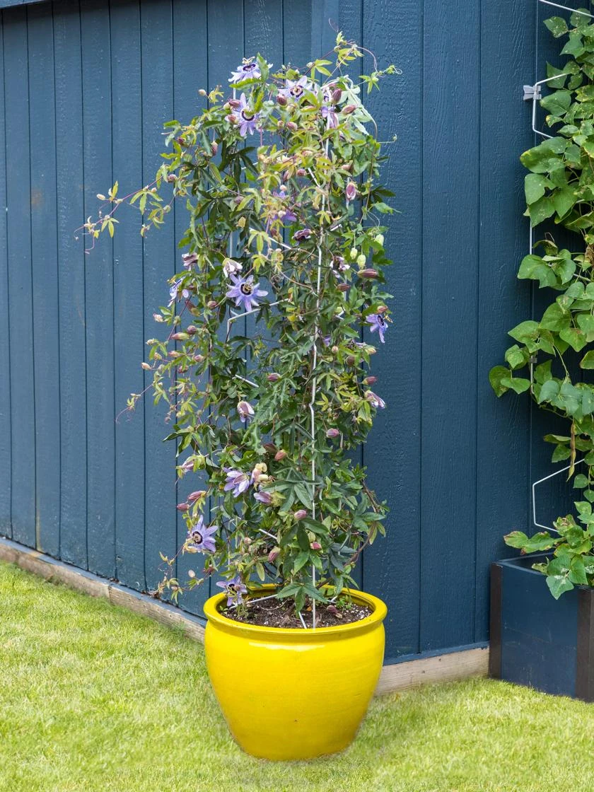 Vertex Universal Tower Vertex Universal Tower -Gardene Supply Sales 8599997 1151 tif