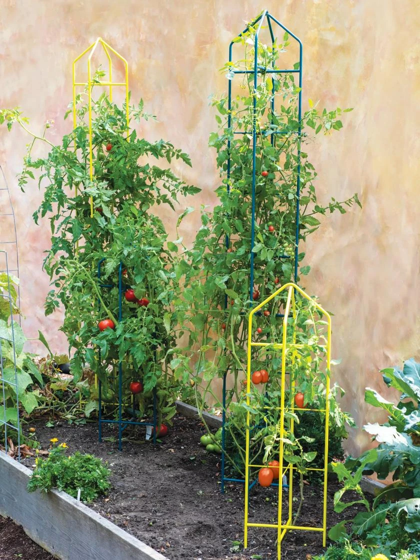 Zenith Folding Garden Supports, Set of 2 Zenith Folding Garden Supports, Set Of 2 -Gardene Supply Sales 8600072 1132 tif