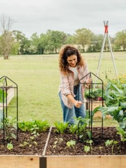 Zenith Folding Garden Supports, Set Of 2 4 Zenith Folding Garden Supports, Set Of 2 -Gardene Supply Sales 8600073 324 tif