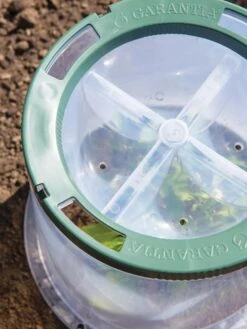 Sunny Forcing Cloches, Set Of 3 3 Sunny Forcing Cloches, Set Of 3 -Gardene Supply Sales 8600075 0742 tif