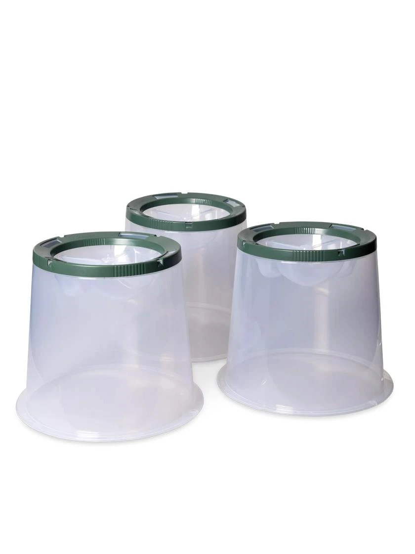 Sunny Forcing Cloches, Set of 3 Sunny Forcing Cloches, Set Of 3 -Gardene Supply Sales 8600075 24 tif