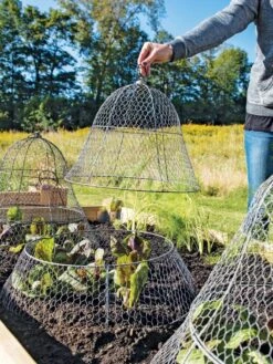 Chicken Wire Cloche With Extension 5 Chicken Wire Cloche With Extension -Gardene Supply Sales 8600116 0604 3 4