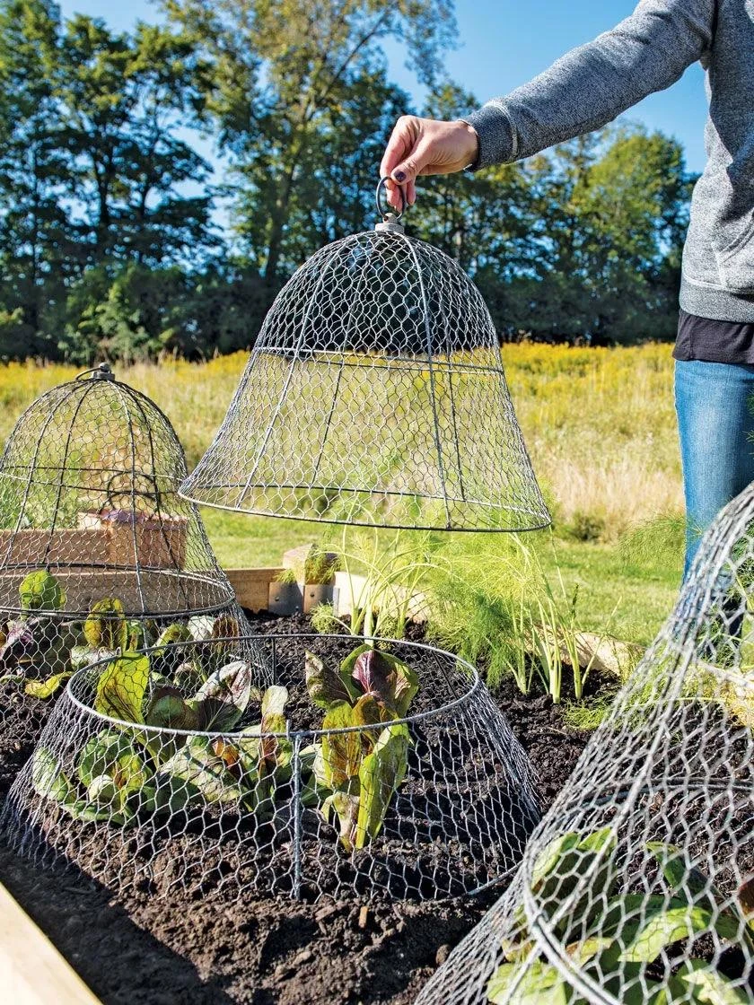 Chicken Wire Cloche with Extension Chicken Wire Cloche With Extension -Gardene Supply Sales 8600116 0604 3 4
