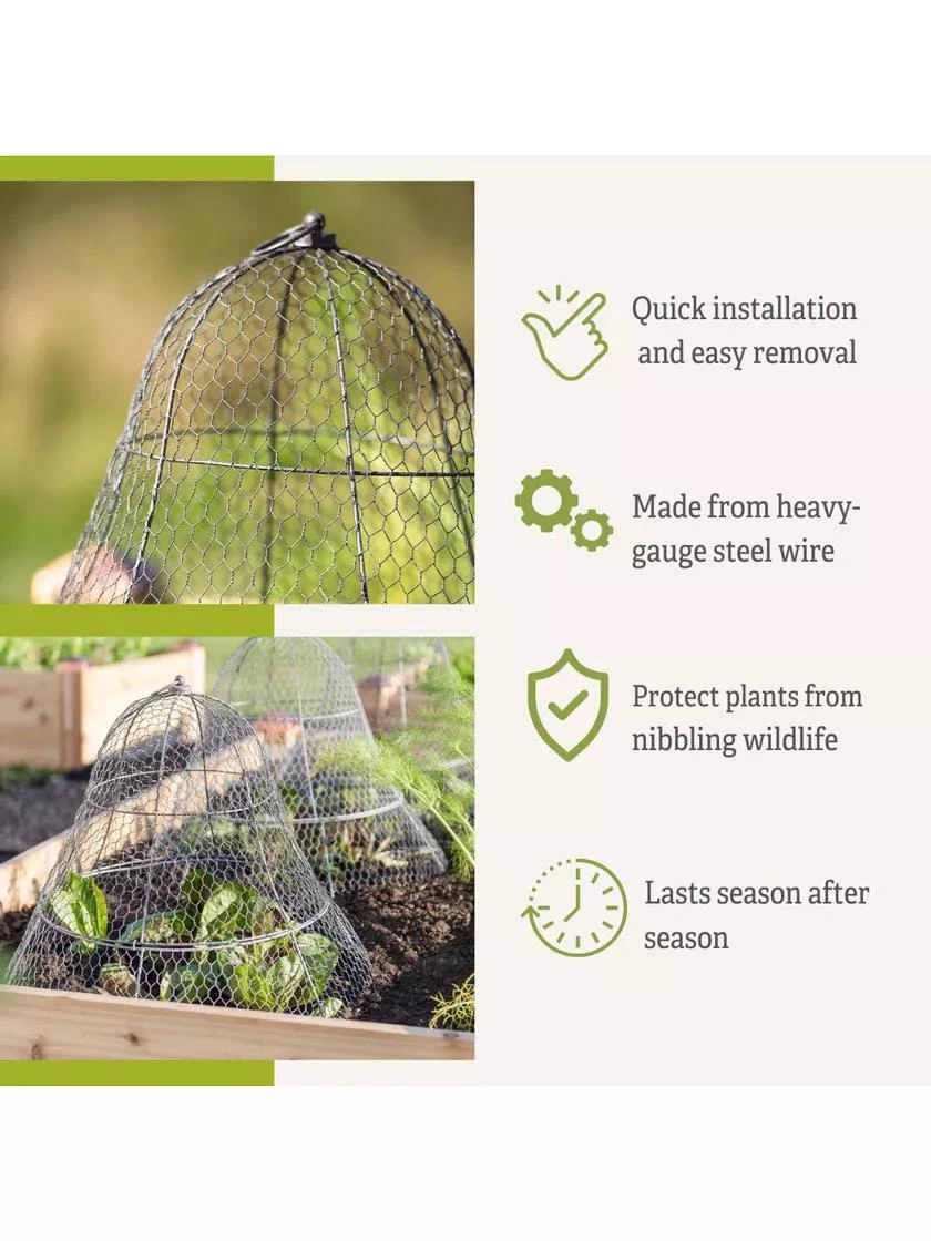 Chicken Wire Cloche with Extension Chicken Wire Cloche With Extension -Gardene Supply Sales 8600116 3