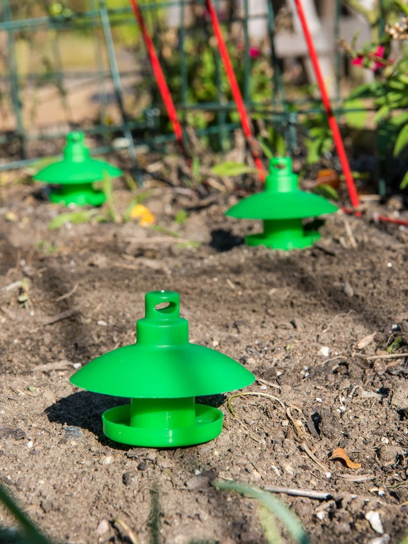 Slug and Snail Traps, Set of 3 Slug And Snail Traps, Set Of 3 -Gardene Supply Sales 8600120 1784 slug and snail traps set of 3