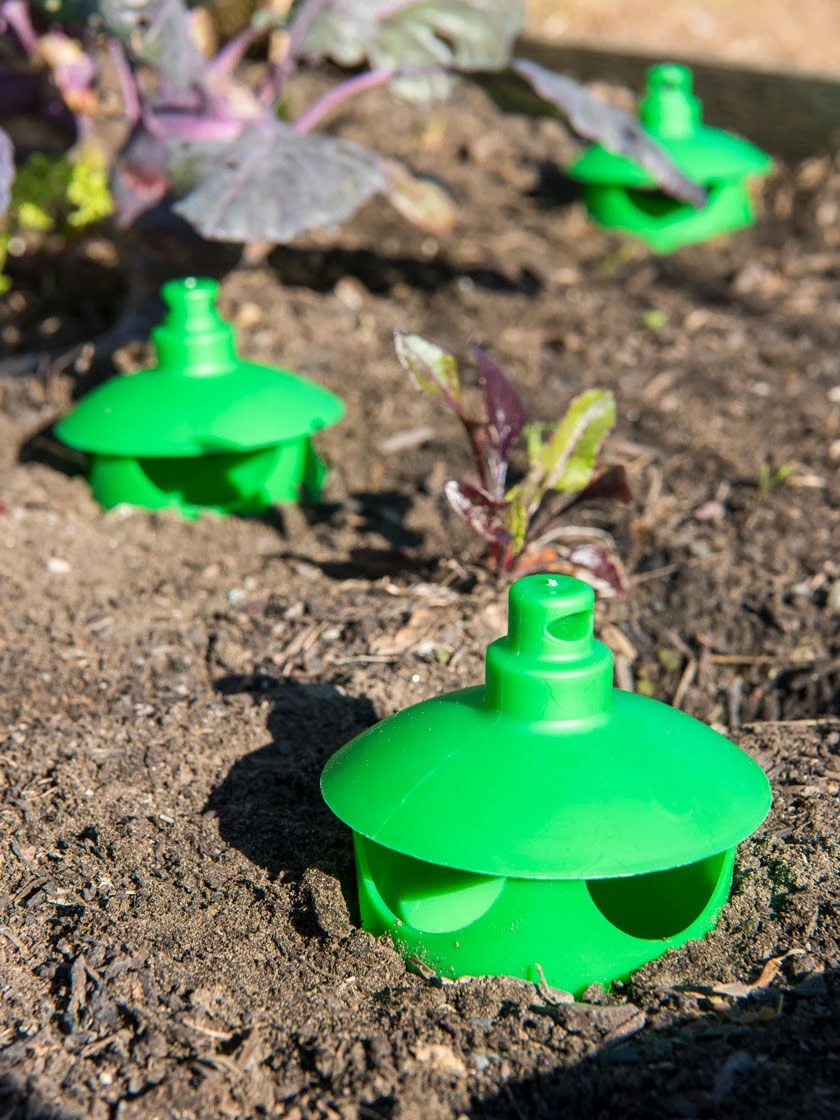 Slug and Snail Traps, Set of 3 Slug And Snail Traps, Set Of 3 -Gardene Supply Sales 8600120 1788