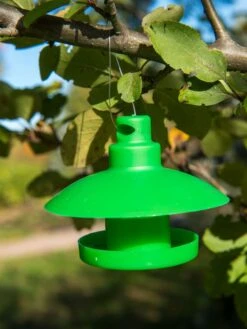 Slug And Snail Traps, Set Of 3 6 Slug And Snail Traps, Set Of 3 -Gardene Supply Sales 8600120 1792