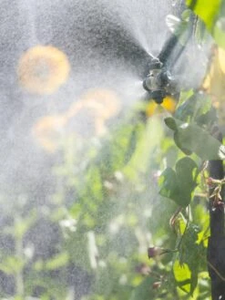 Landscape 4-Way Cooling Mist Kit, 50' -Gardene Supply Sales 8600154 0695 tif