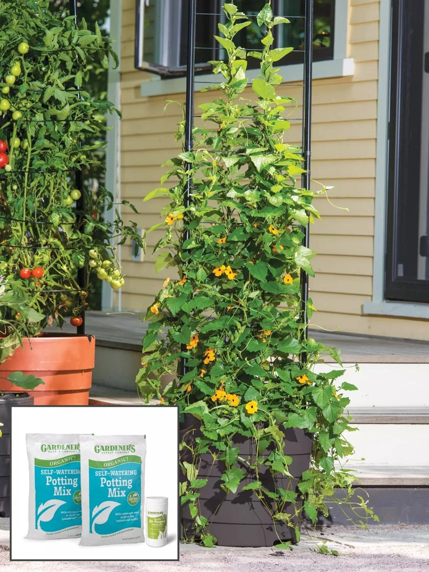Gardener’s Victory Self-Watering Planter Garden with Vine Trellis Gardener’s Victory Self-Watering Planter Garden With Vine Trellis -Gardene Supply Sales 8600174 2100 tif