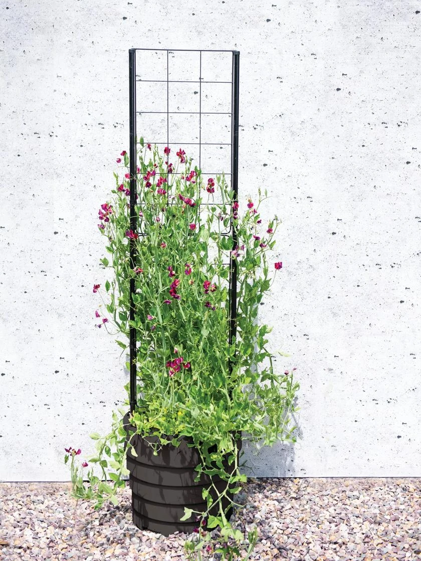 Gardener’s Victory Self-Watering Planter with Vine Trellis Gardener’s Victory Self-Watering Planter With Vine Trellis -Gardene Supply Sales 8600177 05490 tif