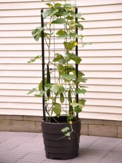 Gardener’s Victory Self-Watering Planter Garden With Vine Trellis 2 Gardener’s Victory Self-Watering Planter Garden With Vine Trellis -Gardene Supply Sales 8600177 9876 tif 1