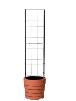 Gardener’s Victory Self-Watering Planter With Vine Trellis 6 Gardener’s Victory Self-Watering Planter With Vine Trellis -Gardene Supply Sales 8600178 7000 tif