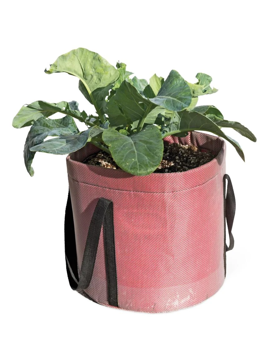 Reinforced Colorful Grow Bags Reinforced Colorful Grow Bags -Gardene Supply Sales 8600229 0941 tif