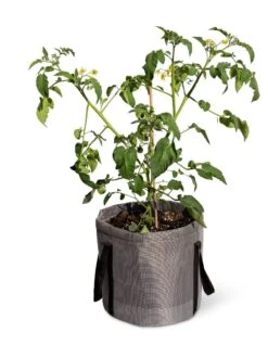 Reinforced Colorful Grow Bags 5 Reinforced Colorful Grow Bags -Gardene Supply Sales 8600229 0944 tif