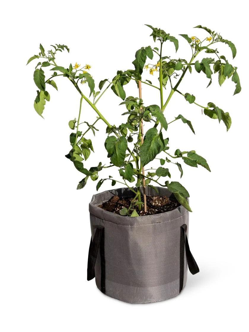 Reinforced Colorful Grow Bags Reinforced Colorful Grow Bags -Gardene Supply Sales 8600229 0944 tif