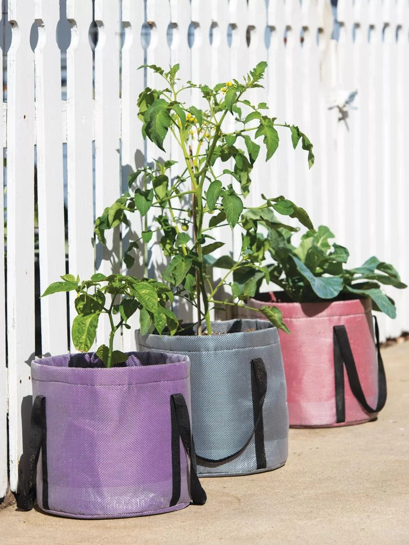 Reinforced Colorful Grow Bags Reinforced Colorful Grow Bags -Gardene Supply Sales 8600229 19957 tif