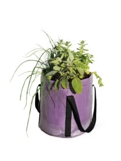 Reinforced Colorful Grow Bags 2 Reinforced Colorful Grow Bags -Gardene Supply Sales 8600230 0948 tif