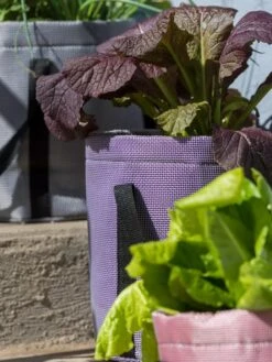 Reinforced Colorful Grow Bags 3 Reinforced Colorful Grow Bags -Gardene Supply Sales 8600230 20013 tif