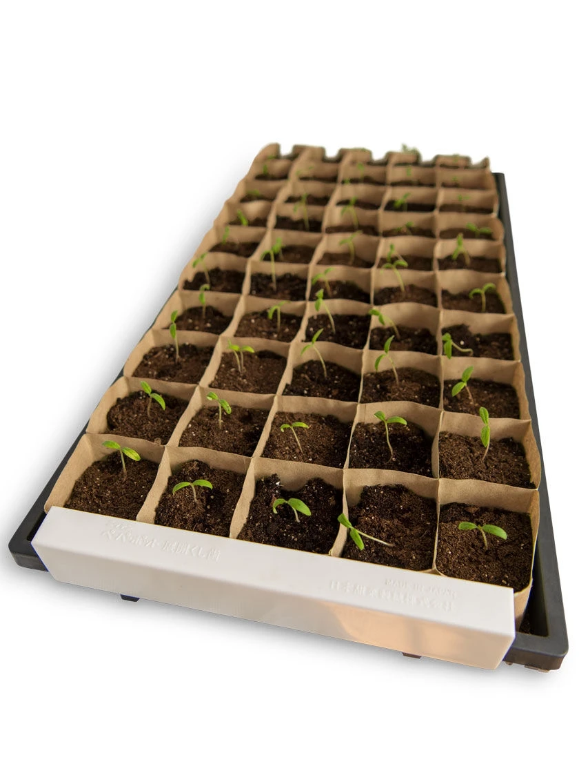 Paper Pot Opening Clips, Set of 2 Paper Pot Opening Clips, Set Of 2 -Gardene Supply Sales 8600273 18527