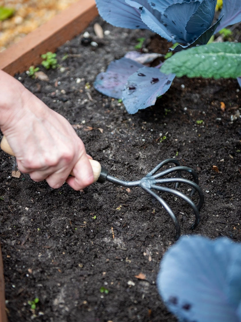 Gardener’s Lifetime 5-Tine Cultivator with Short Handle Gardener’s Lifetime 5-Tine Cultivator With Short Handle -Gardene Supply Sales 8600305 2974