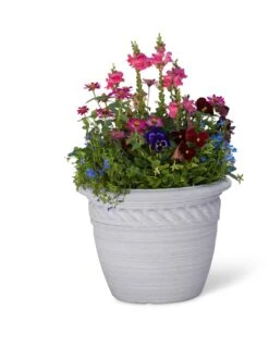 Cortina Self-Watering Planters -Gardene Supply Sales 8600316 19838 tif