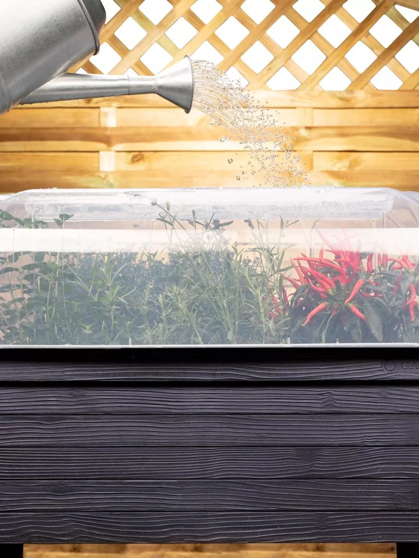 Urban Balcony Elevated Planter Cloche Urban Balcony Elevated Planter Cloche -Gardene Supply Sales 8600351 01V tif