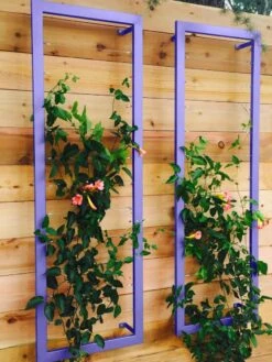 Ina Modern Wall Trellis Sr. 4 Ina Modern Wall Trellis Sr. -Gardene Supply Sales 8600510 07V tif