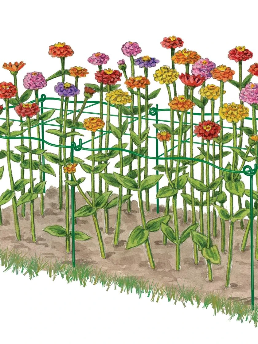 Cut Flower Grid Support, Set of 2 Cut Flower Grid Support, Set Of 2 -Gardene Supply Sales 8600620 0002 art tif