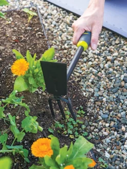 Gardener's 2-in-1 Short Handle Hoe And Cultivator -Gardene Supply Sales 8608657 19474 tif